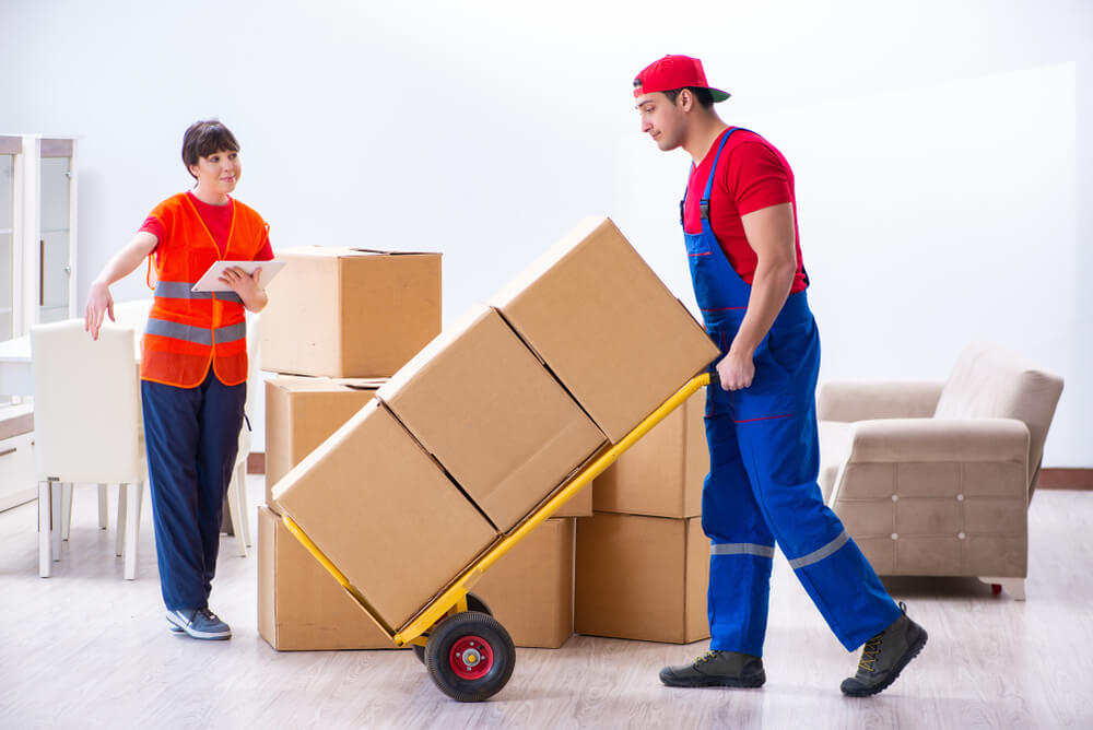 Best Full-Service Movers In Tallevast